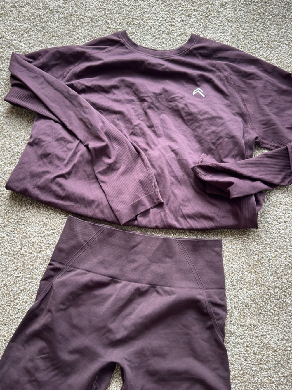 Oner Active Plum Seamless Leggings and Long Sleeve Top Set